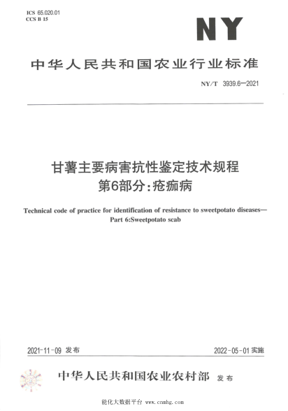 NY/T 3939.6-2021 甘薯主要病害抗性鉴定技术规程 第6部分:疮痂病