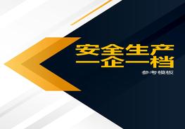 安全生产一企一档(参考模板)docx