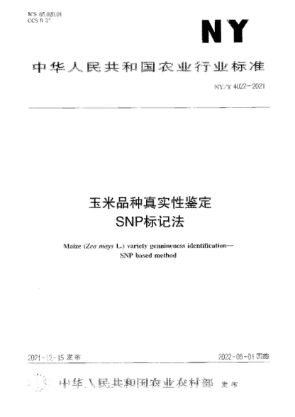NY/T 4022-2021 玉米品种真实性鉴定 SNP标记法 Maize (Zea mays L.) variety genuineness identification- SNP based method