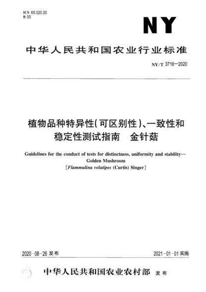 NY/T 3716-2020 植物品种特异性（可区别性）、一致性和稳定性测试指南金针菇 Guidelines for the conduct of tests for distinctness, uniformity and stability&mdash;Golden Mushroom [Flammulina velutipes (Curtis) Singer]