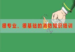 F20220404很专业、很基础的消防培训知识pptx