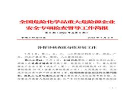 全国危险化学品重大危险源企业专项检查督导工作简报（第6期）(1)pdf