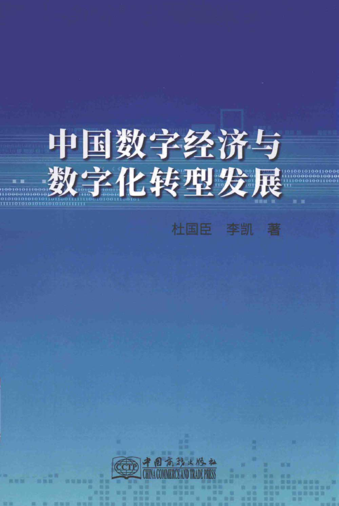 中国数字经济与数字化转型发展 杜国臣，李凯 2021年版