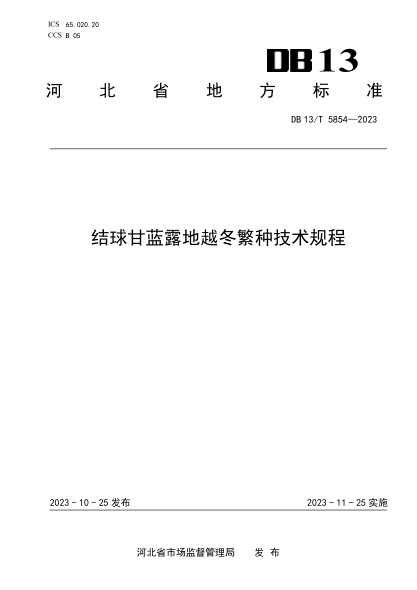 DB13/T 5854-2023 结球甘蓝露地越冬繁种技术规程