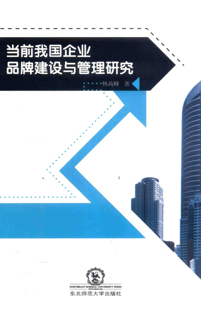 当前我国企业品牌建设与管理研究 林高峰著 2018年版
