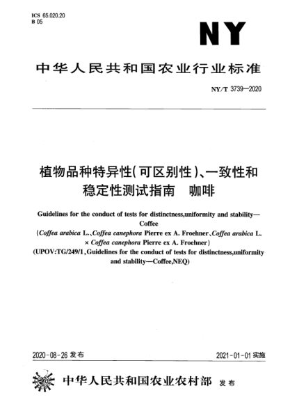 NY/T 3739-2020植物品种特异性（可区别性）、一致性和稳定性测试指南 咖啡