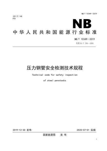 NB/T 10349-2019压力钢管安全检测技术规程
