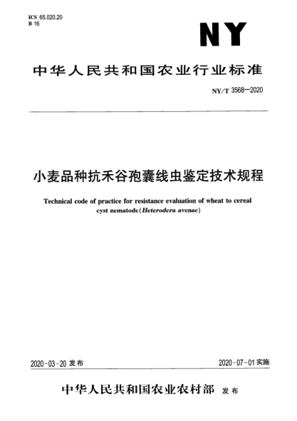 NY/T 3568-2020小麦品种抗禾谷孢囊线虫鉴定技术规程