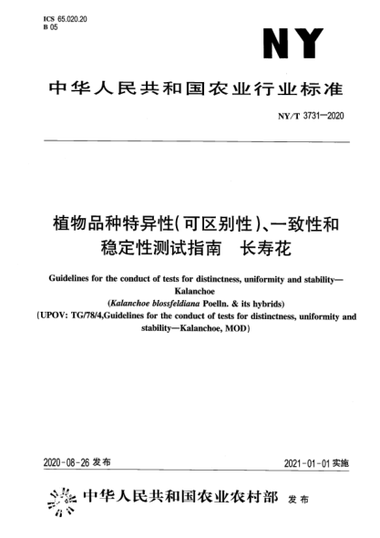 NY/T 3731-2020植物品种特异性（可区别性）、一致性和稳定性测试指南 长寿花