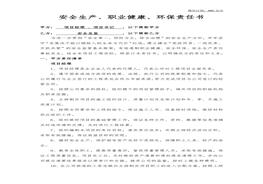 全总监责任书docx