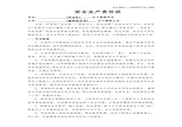 责任书（样本）docx