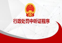 A20210803被行政处罚救济听证程序pptx