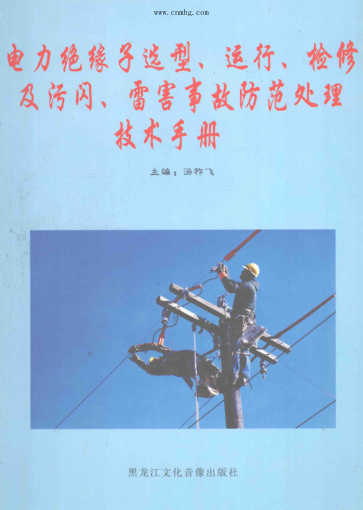 电力绝缘子选型、运行、检修及污闪、雷害事故防范处理技术手册 第2卷